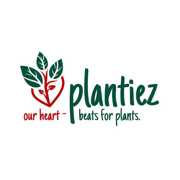 plantiez.com